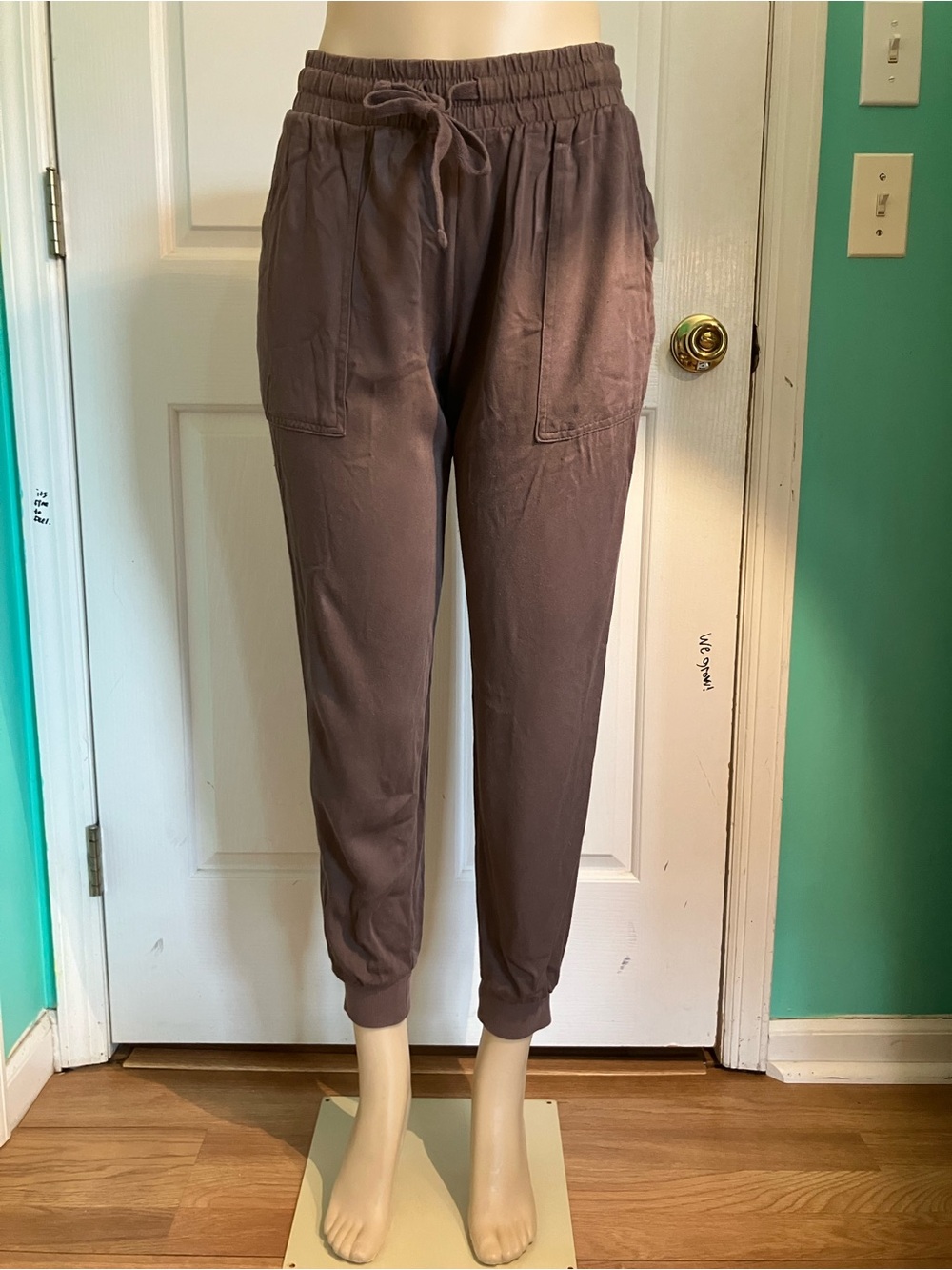 Splendid Brown Drawstring Jogger Pants